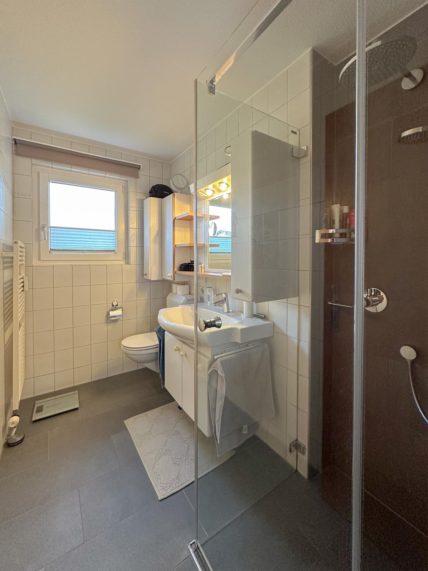 Badezimmer mit Dusche und WC